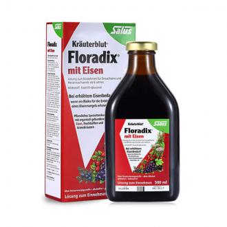 Floradix Iron铁元补血补铁果蔬液500ml（德国）